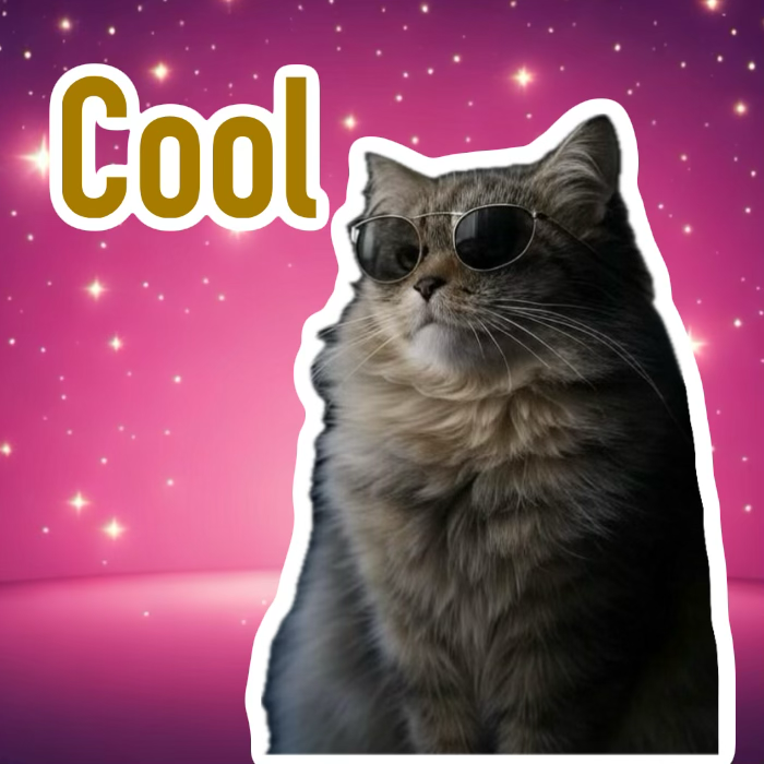 Cat Meme