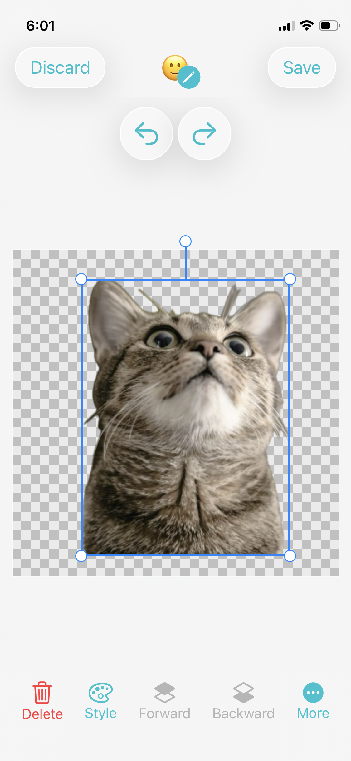 Adjust Photo Object
